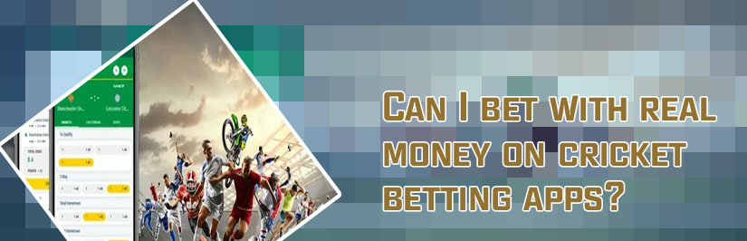 Online betting app cricket