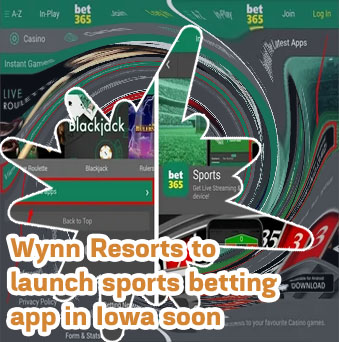 Wynn betting app